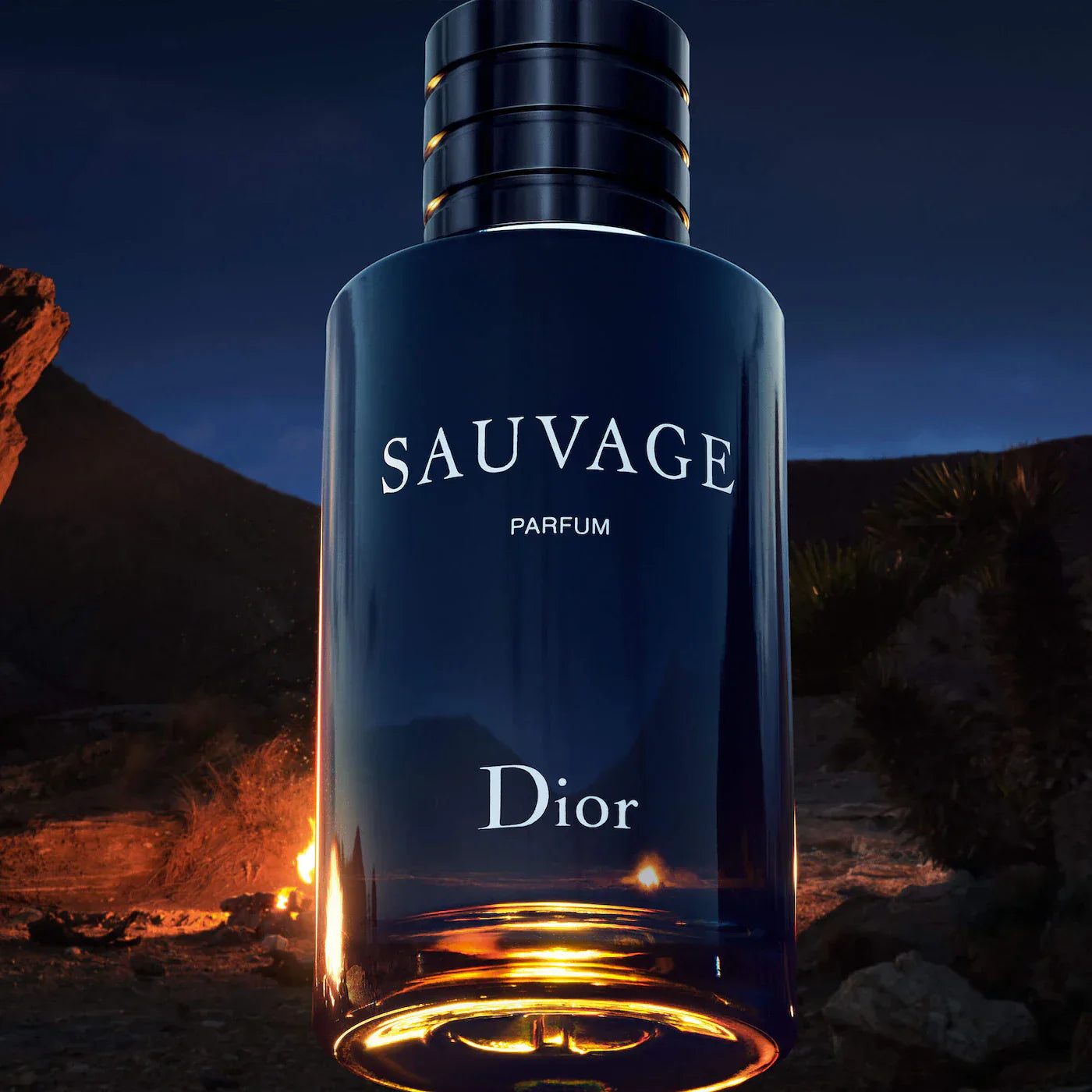 Sauvage Parfum|100ML
